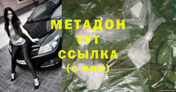 стаф Аркадак