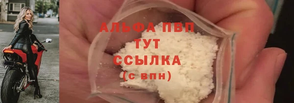стаф Аркадак
