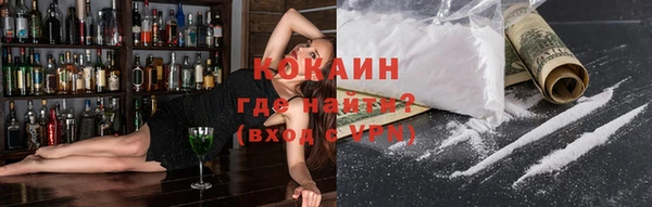 стаф Аркадак