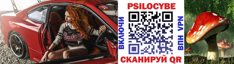 сколько стоит  Октябрьск  Псилоцибиновые грибы Psilocybine cubensis 